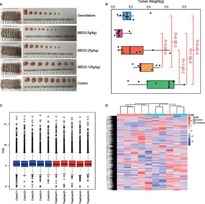 BaBao Dan Suppresses Tumor Growth of Pancreatic Cancer Through Modulating Transcriptional Reprogramming of Cancer-Related Genes